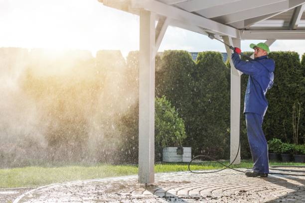 Best Gutter Cleaning  in Dillon, MT