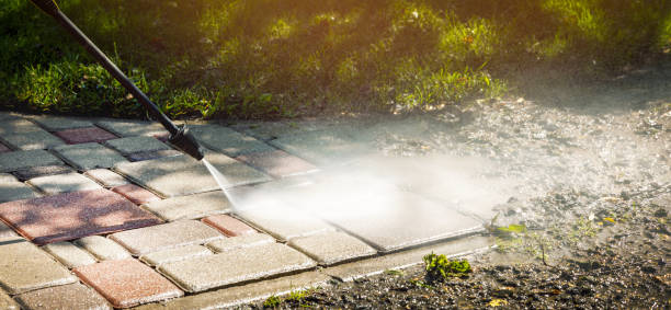 Best Fence Cleaning  in Dillon, MT